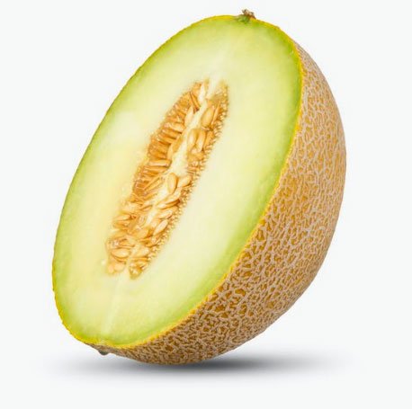 Melón Galia