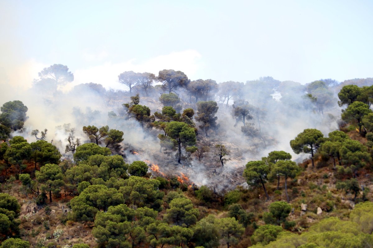 Els Bombers estabilitzen l'incendi de Castell d'Aro