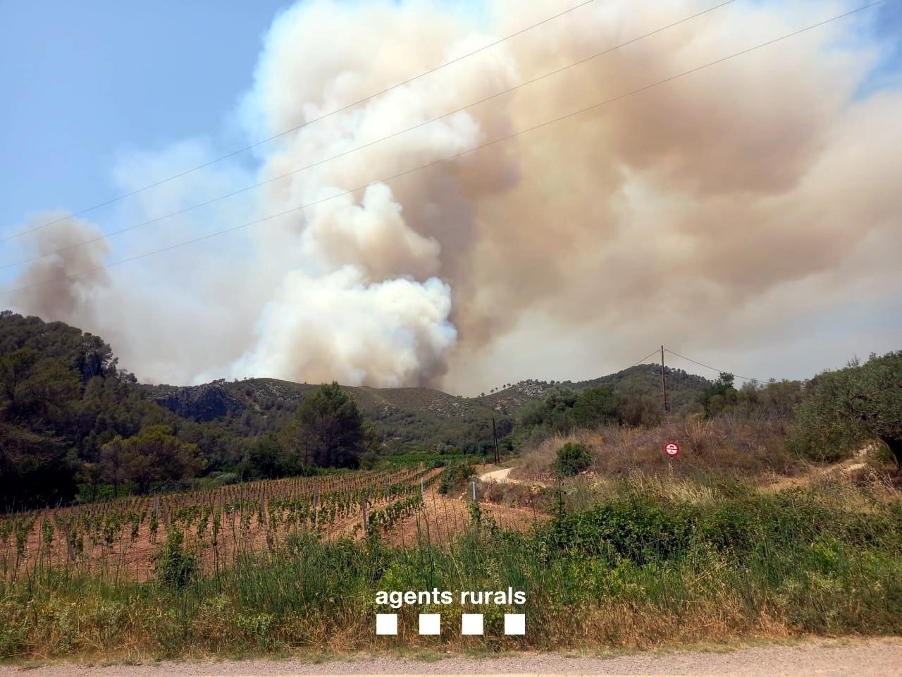 Detingut el presumpte autor de dos incendis al Massís del Garraf