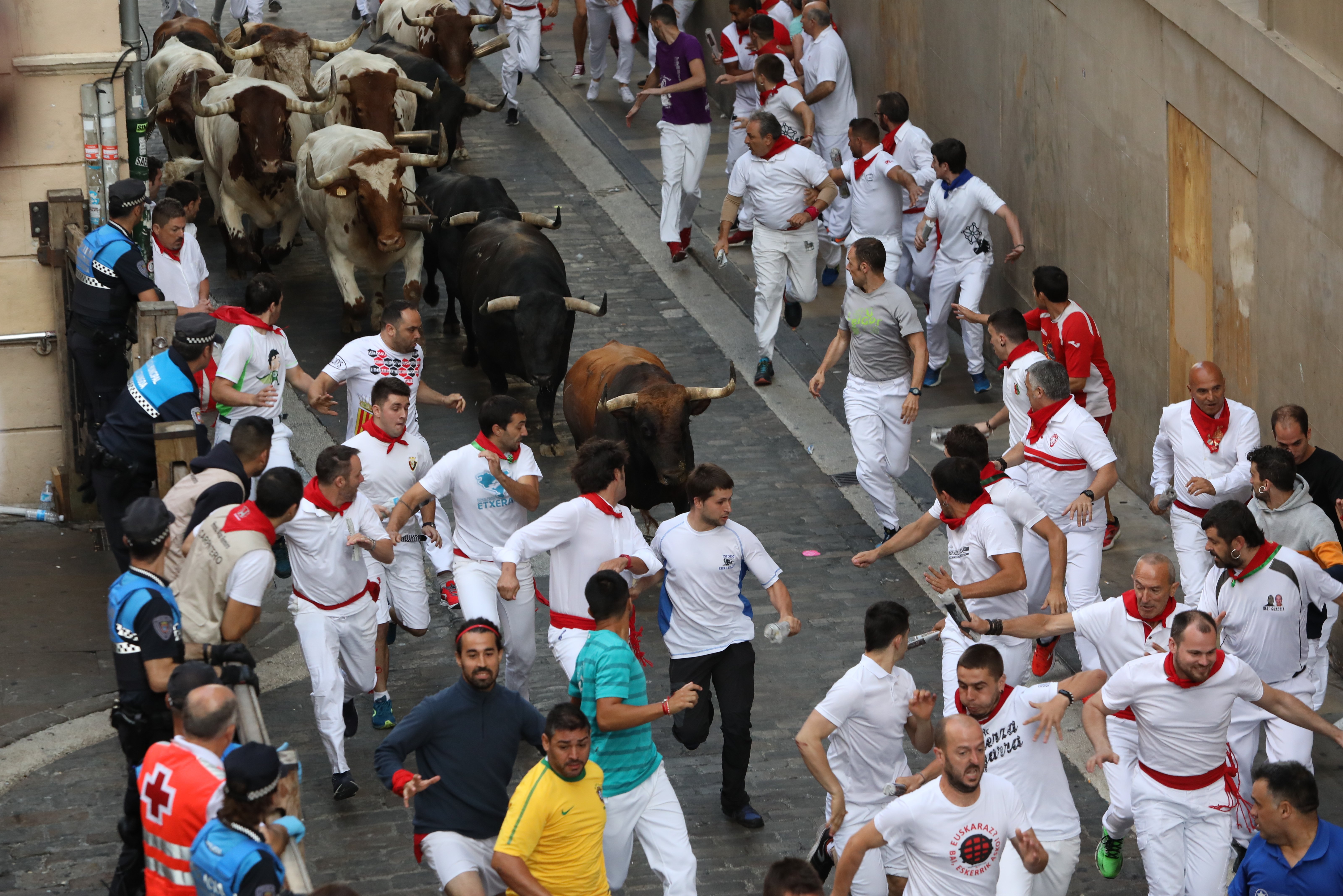 El Pacma reclama unos Sanfermines "sin explotación animal ni derramamiento de sangre"