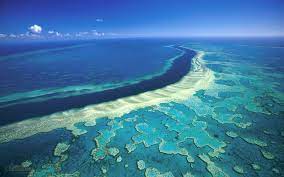 Així es veu la gran Barrera de Corall d'Austràlia des de l'espai