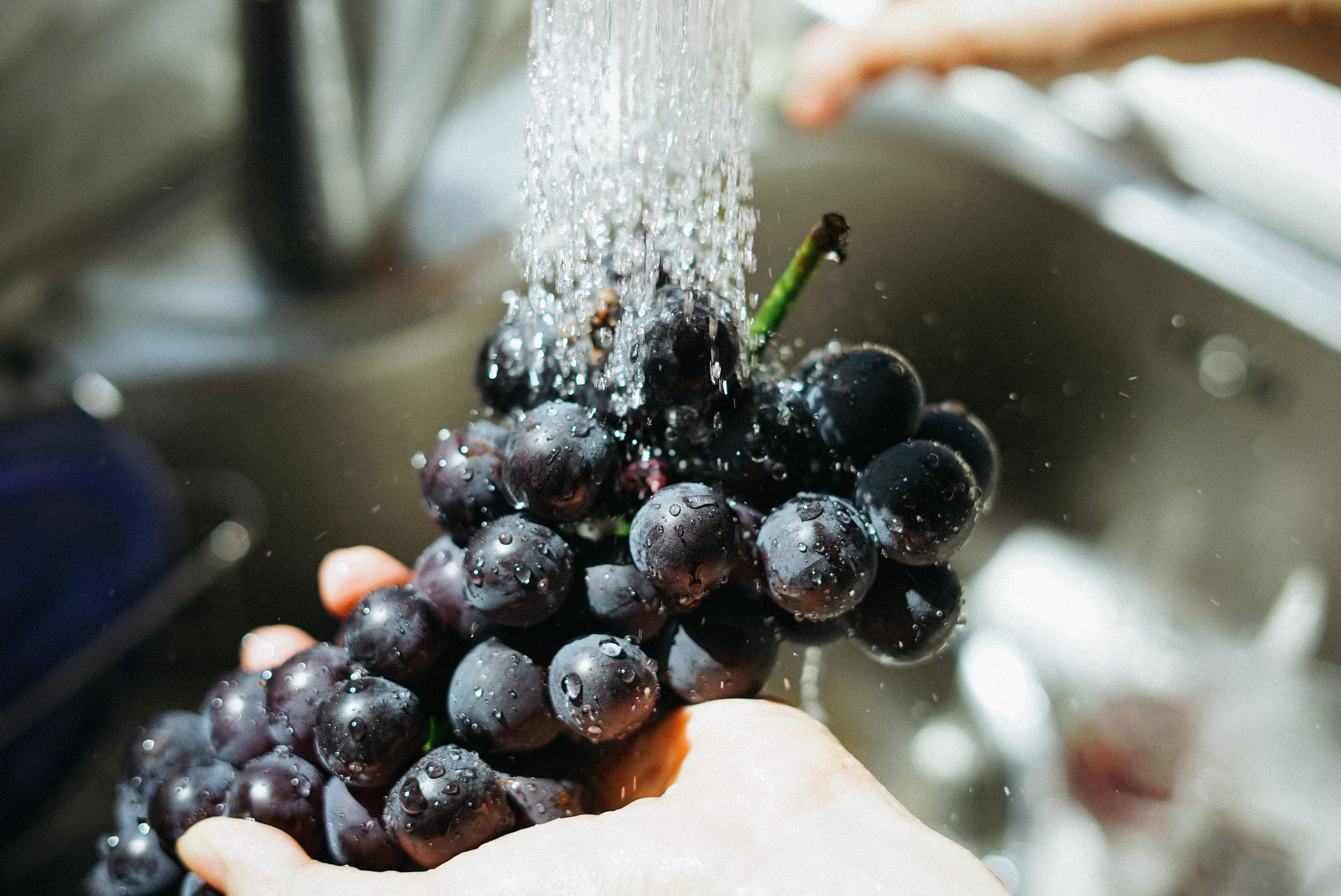 Rentar la fruita a l'estiu és especialment important / Unsplash Rentar la fruita a l'estiu és especialment important / Unsplash