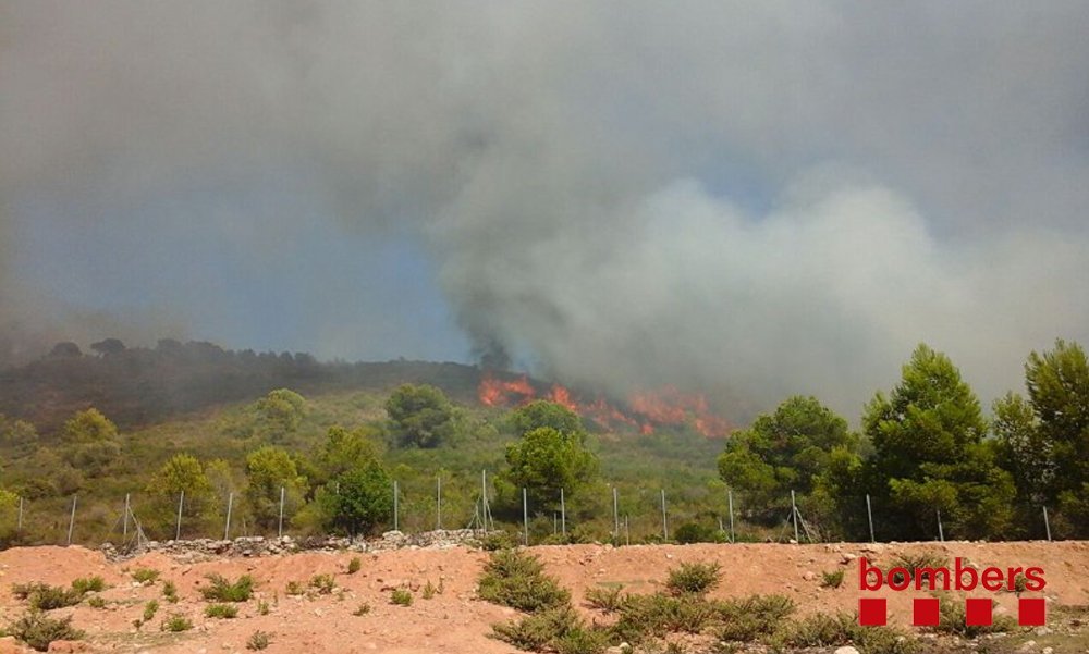 Activada la prealerta del pla especial d’emergències per incendis forestals