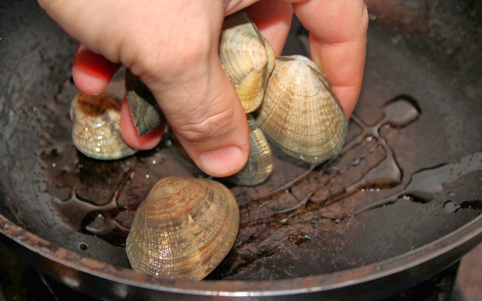 llom bacalla al forn sobre salsa ceps cloisses trompetes mort pas19