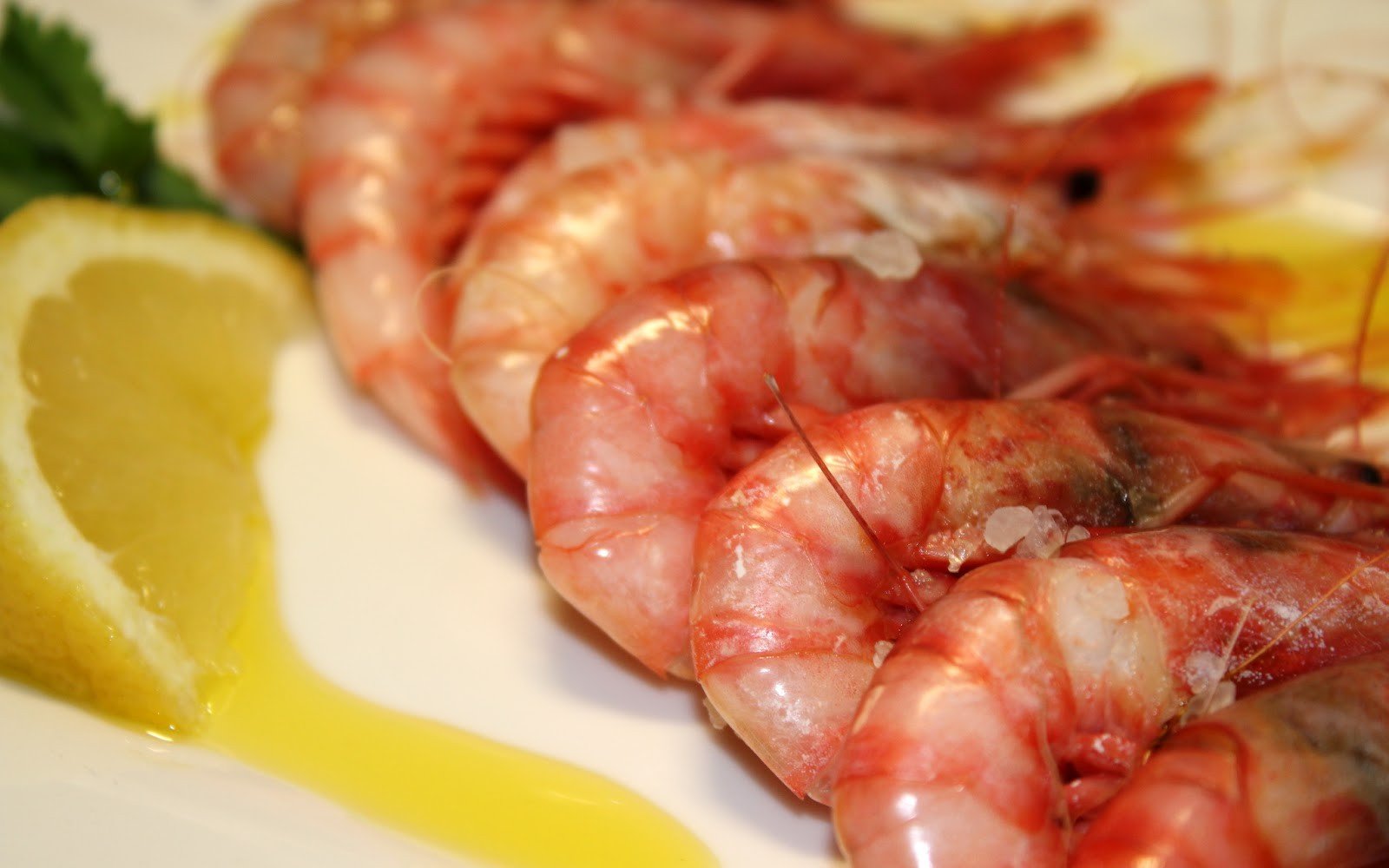 gambes sal pas000