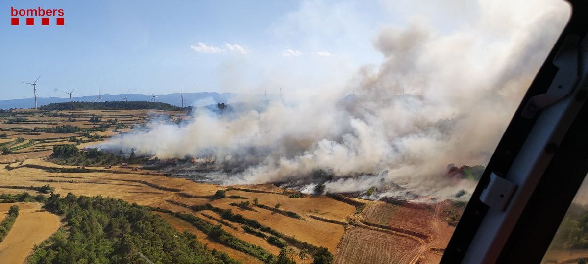 Estabilitzat l'incendi de Vallbona de les Monges