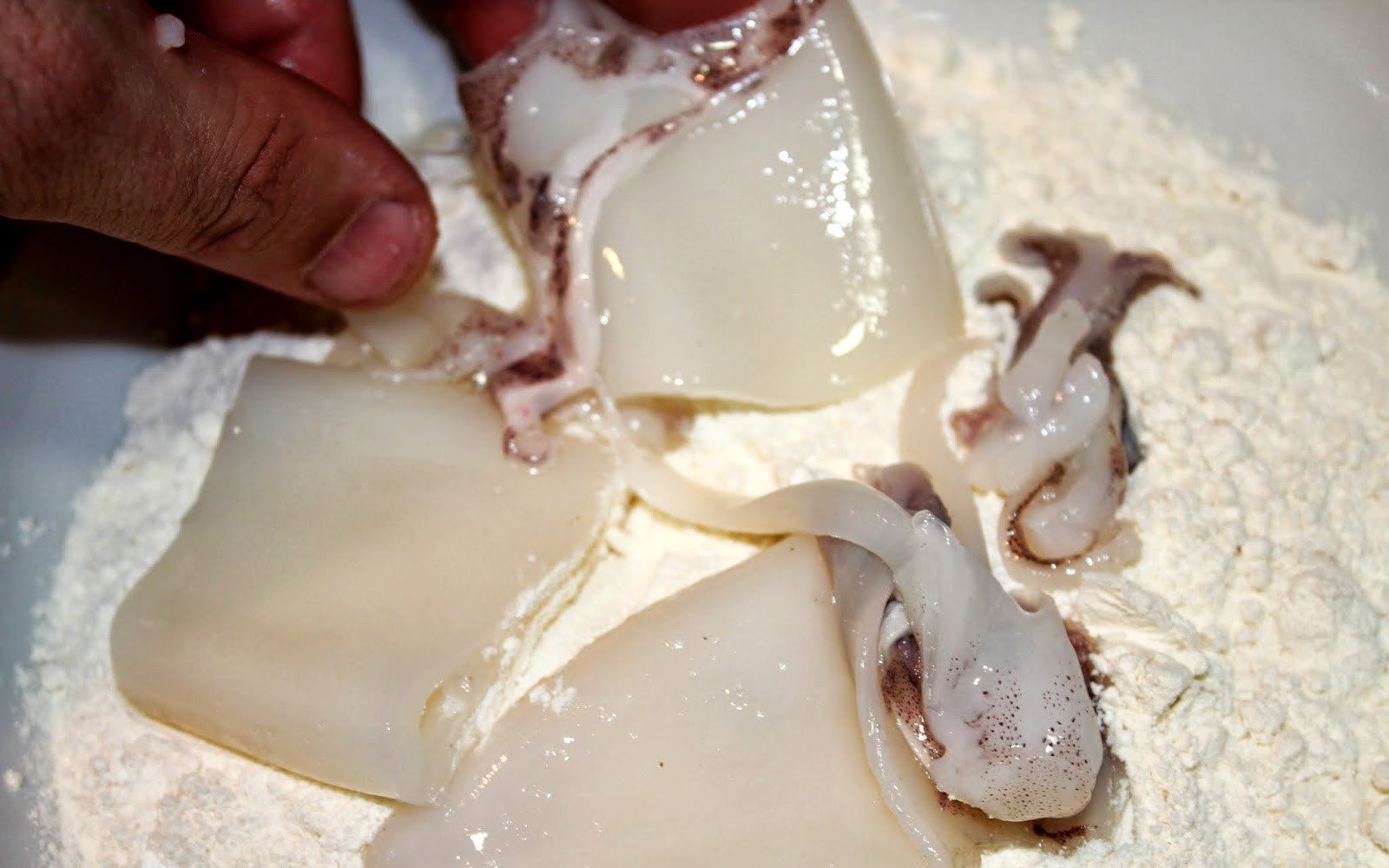 calamars sitgetana pas13