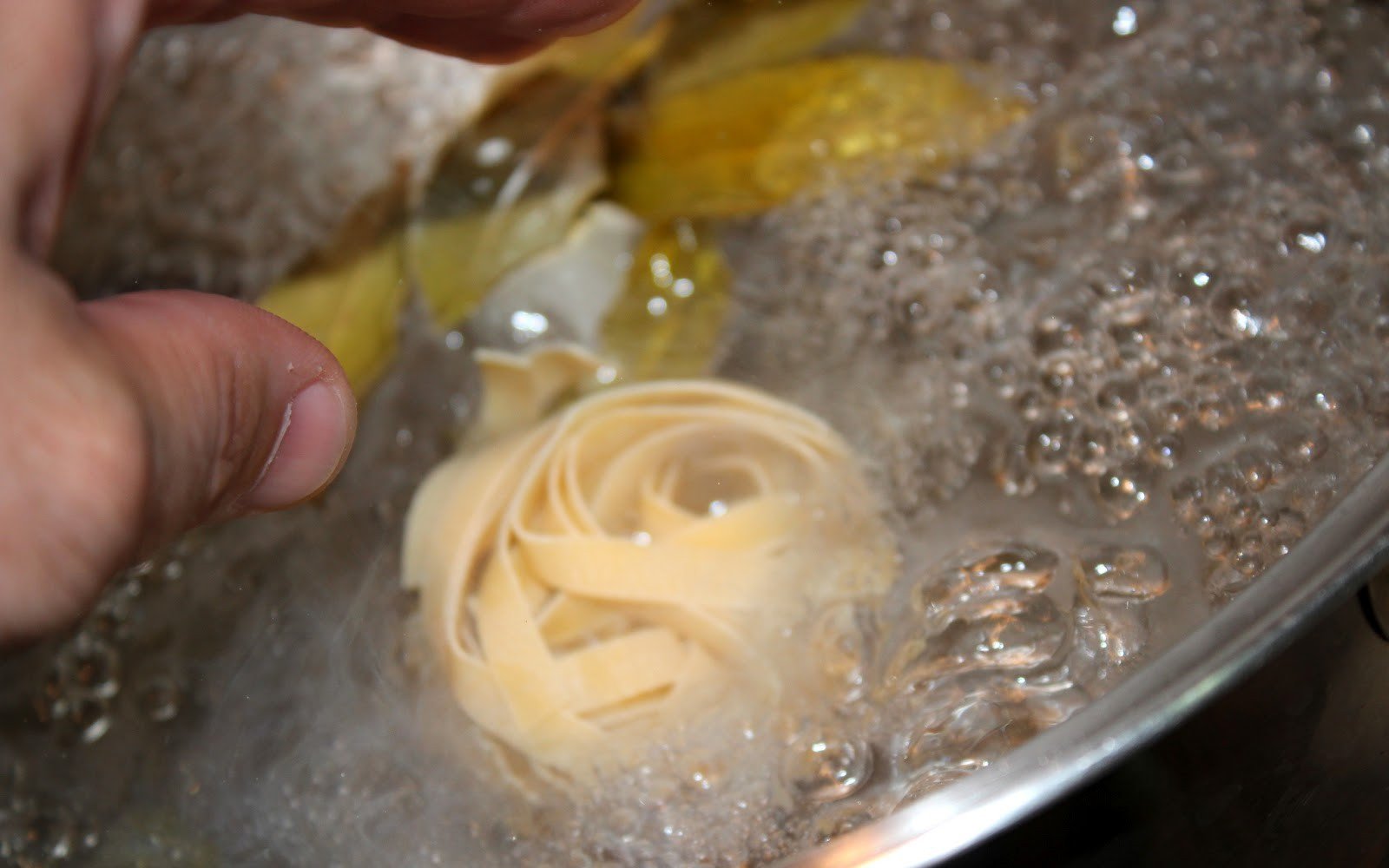 fettuccine bolets alfabrega tomaquet sec mozzarella bufala pas9