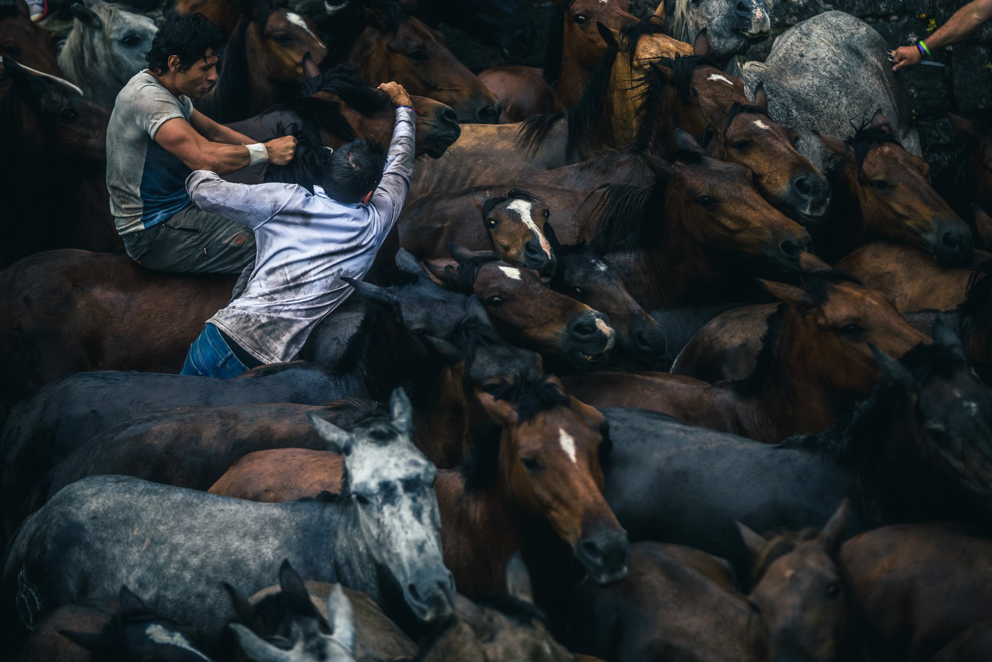 A Estrada (Pontevedra)