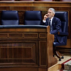Alejandro Martínez Vélez  Europa Press fernando grande marlaska ministro interior