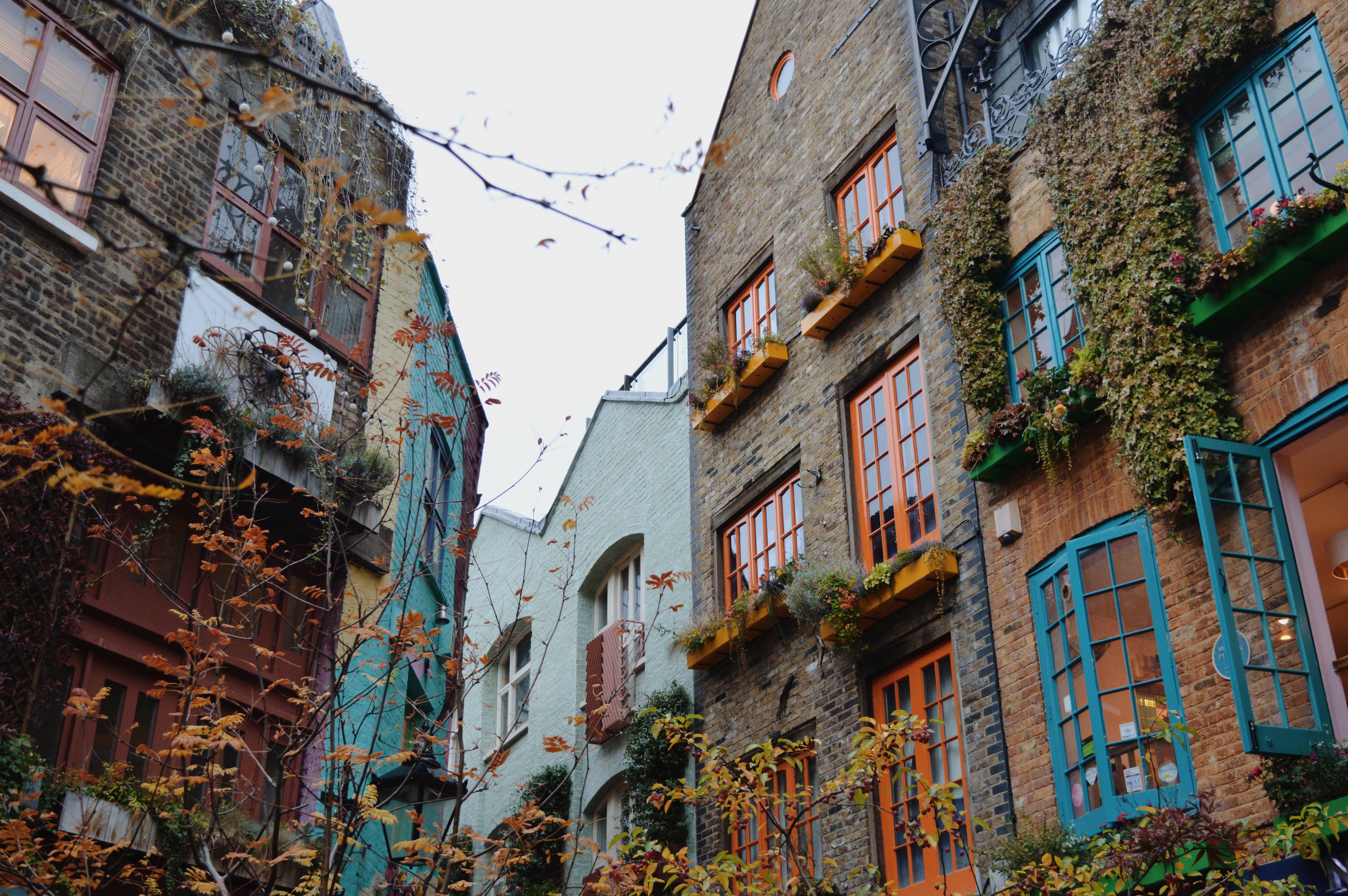 Cases de Neal's Yard