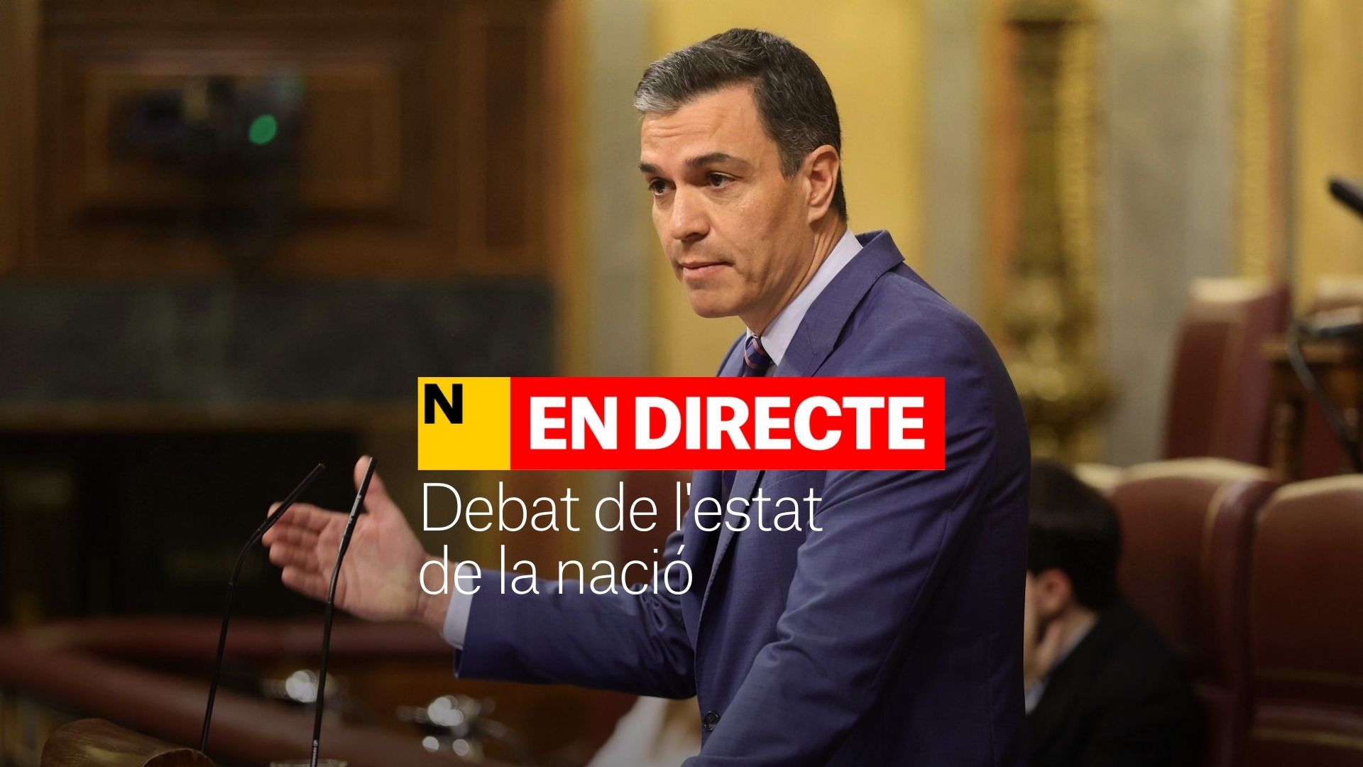 Debat de l'estat de la nació espanyola, DIRECTE | Votació de les resolucions