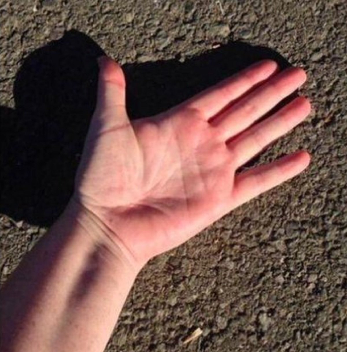 La regla de los cinco segundos consiste en poner la mano al revés sobre el asfalto / Foto: Guardia Civil