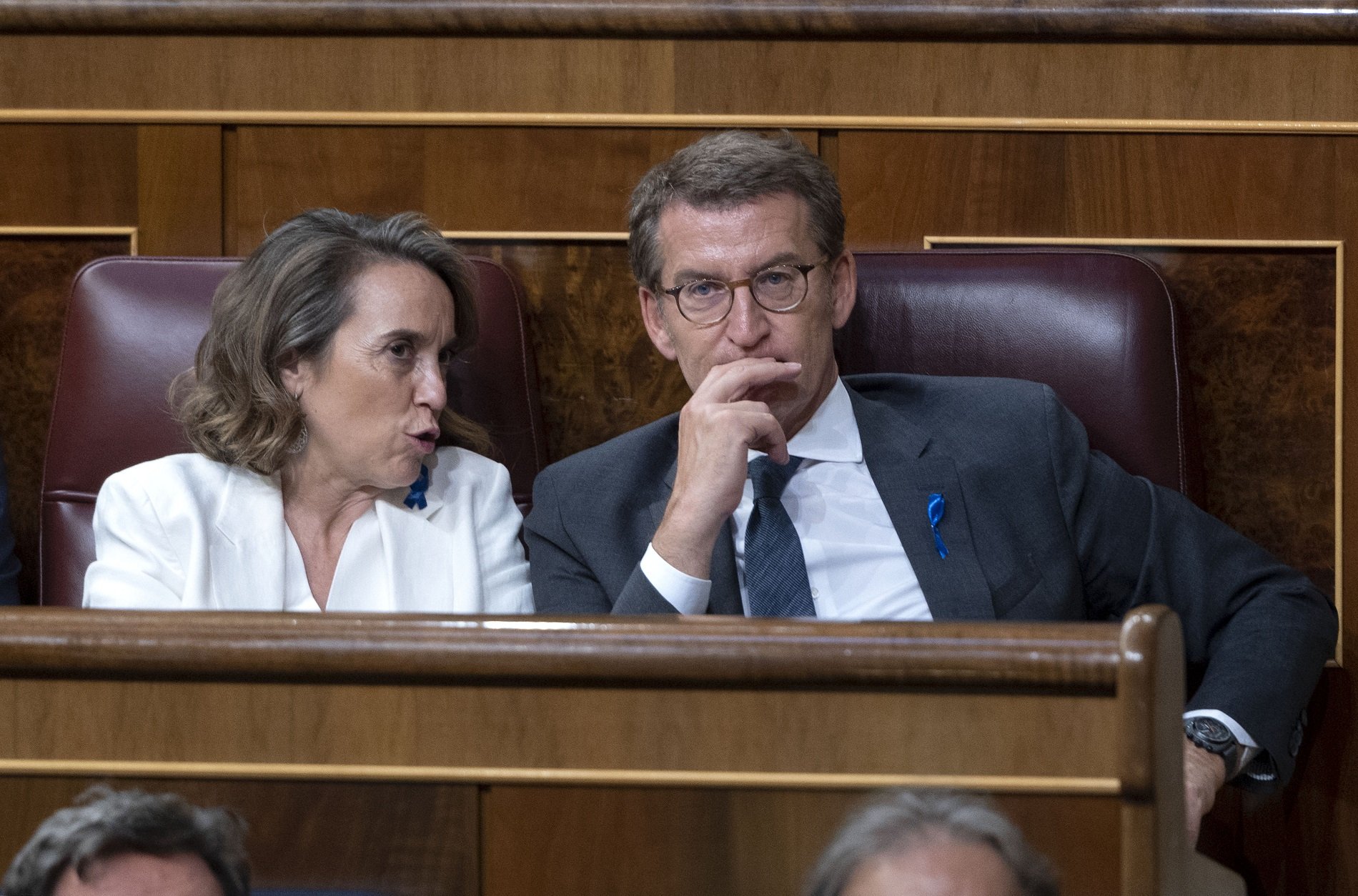 El PP, davant la proposta de Pedro Sánchez: "A cap país europeu tocarien la sedició amb els sediciosos"