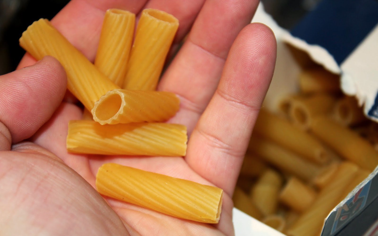 pasta al forn pranzo di ferragosto pas4