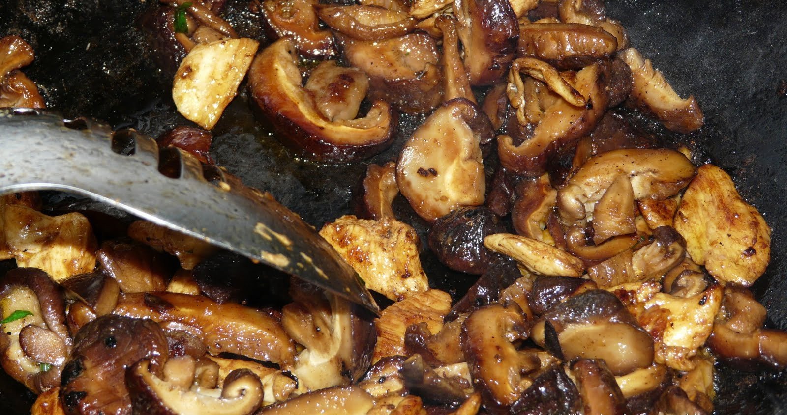 wok fideus darros shiitake pas23