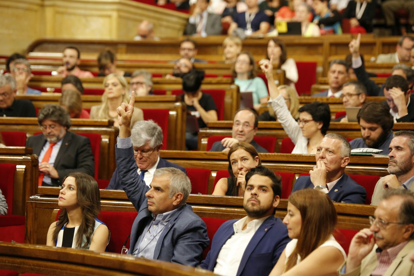 Luz verde a la tramitación de la ILP sobre el cannabis