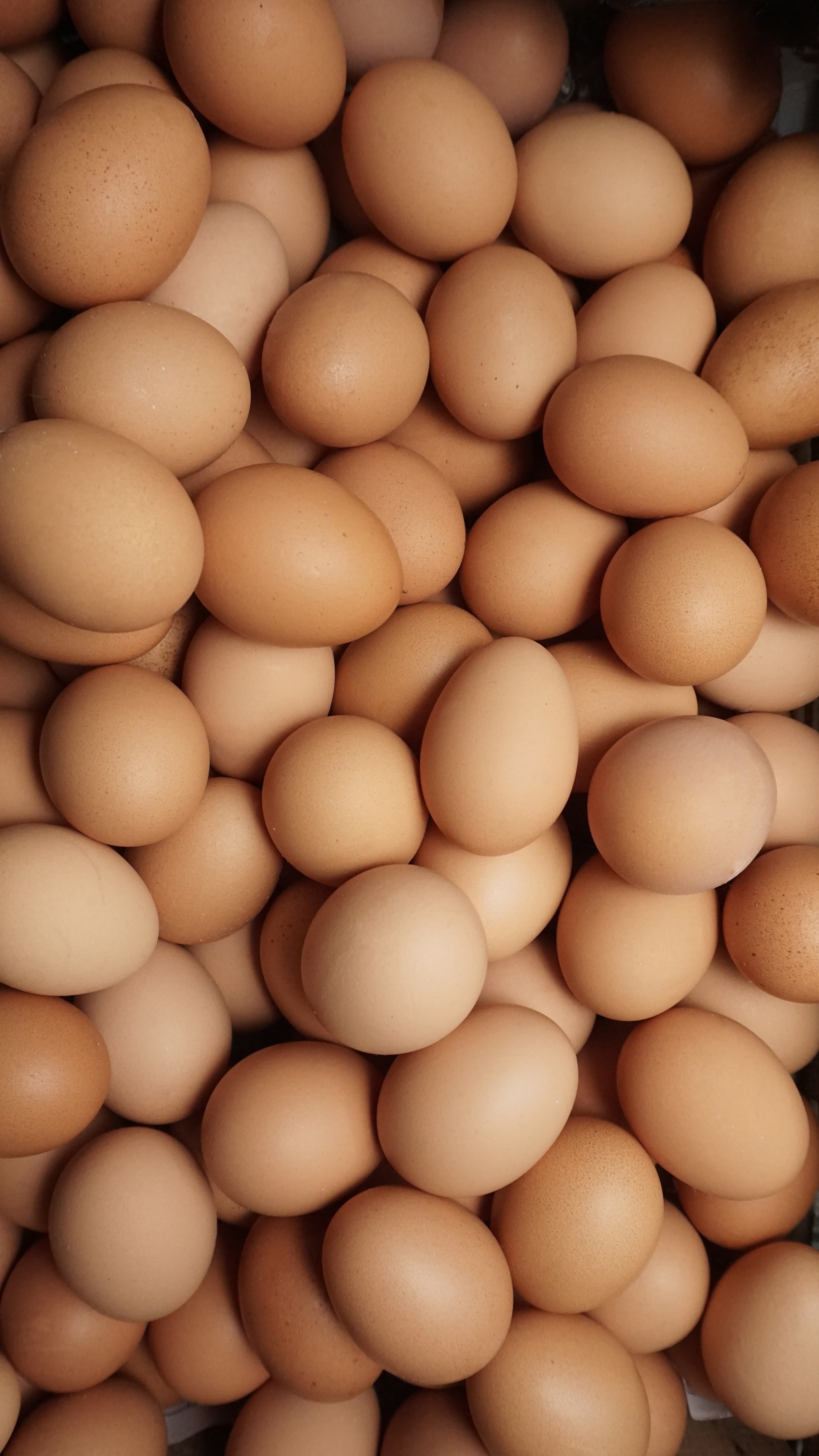 Les portades aixafen ous amb Carles Puigdemont