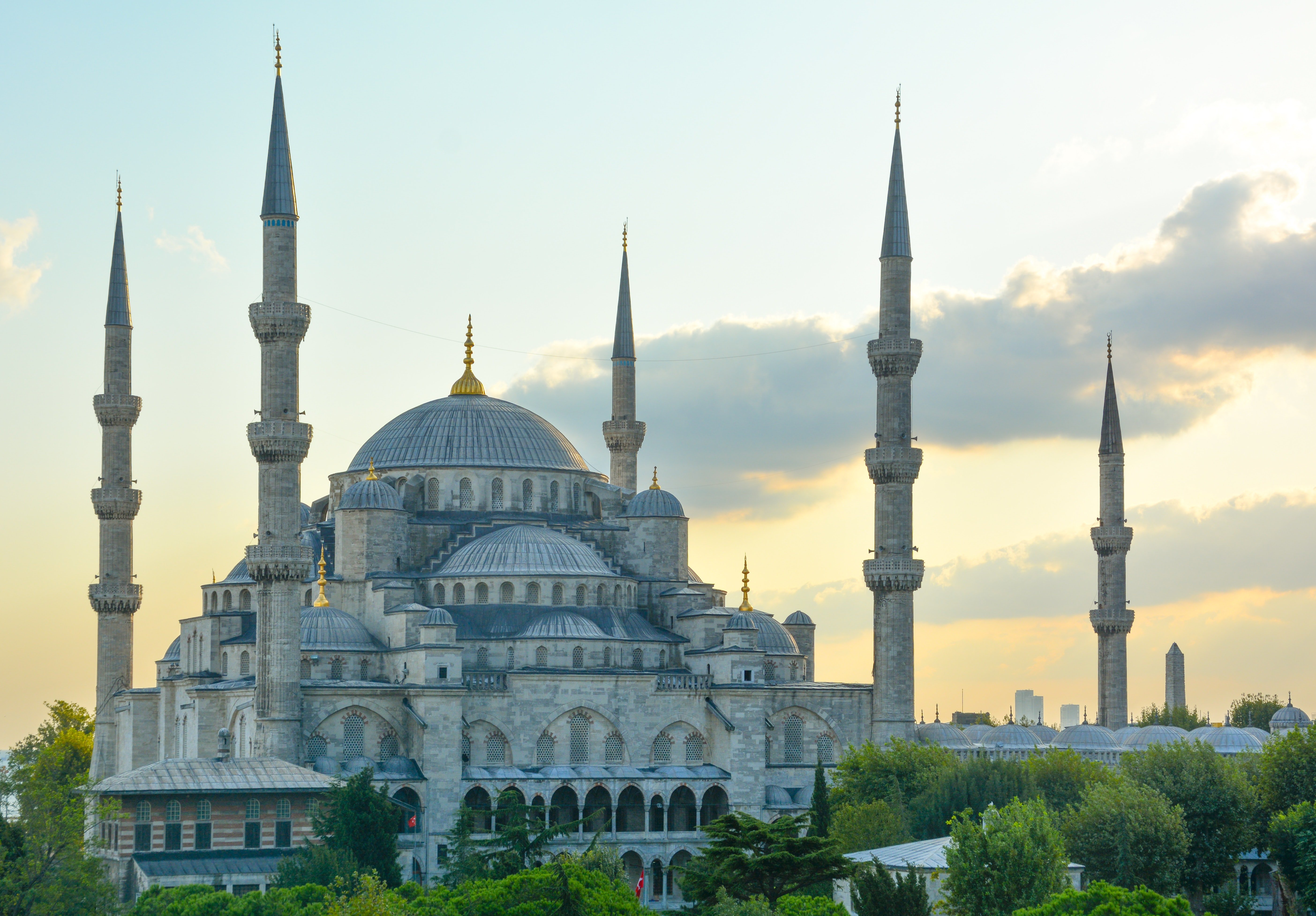 La Mesquita Blau / Unsplash La Mesquita Blau / Unsplash