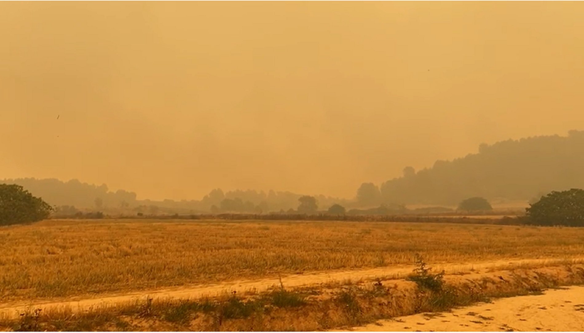 Cel esfereïdor a Sant Fruitós de Bages, completament groc i plovent cendra per l'incendi | VÍDEO