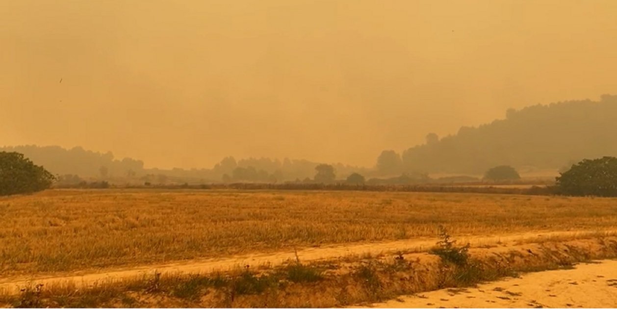Cielo estremecedor en Sant Fruitós de Bages, amarillo y lloviendo ceniza por el incendio VIDEO Cielo estremecedor en Sant Fruitós de Bages, amarillo y lloviendo ceniza por el incendio VIDEO
