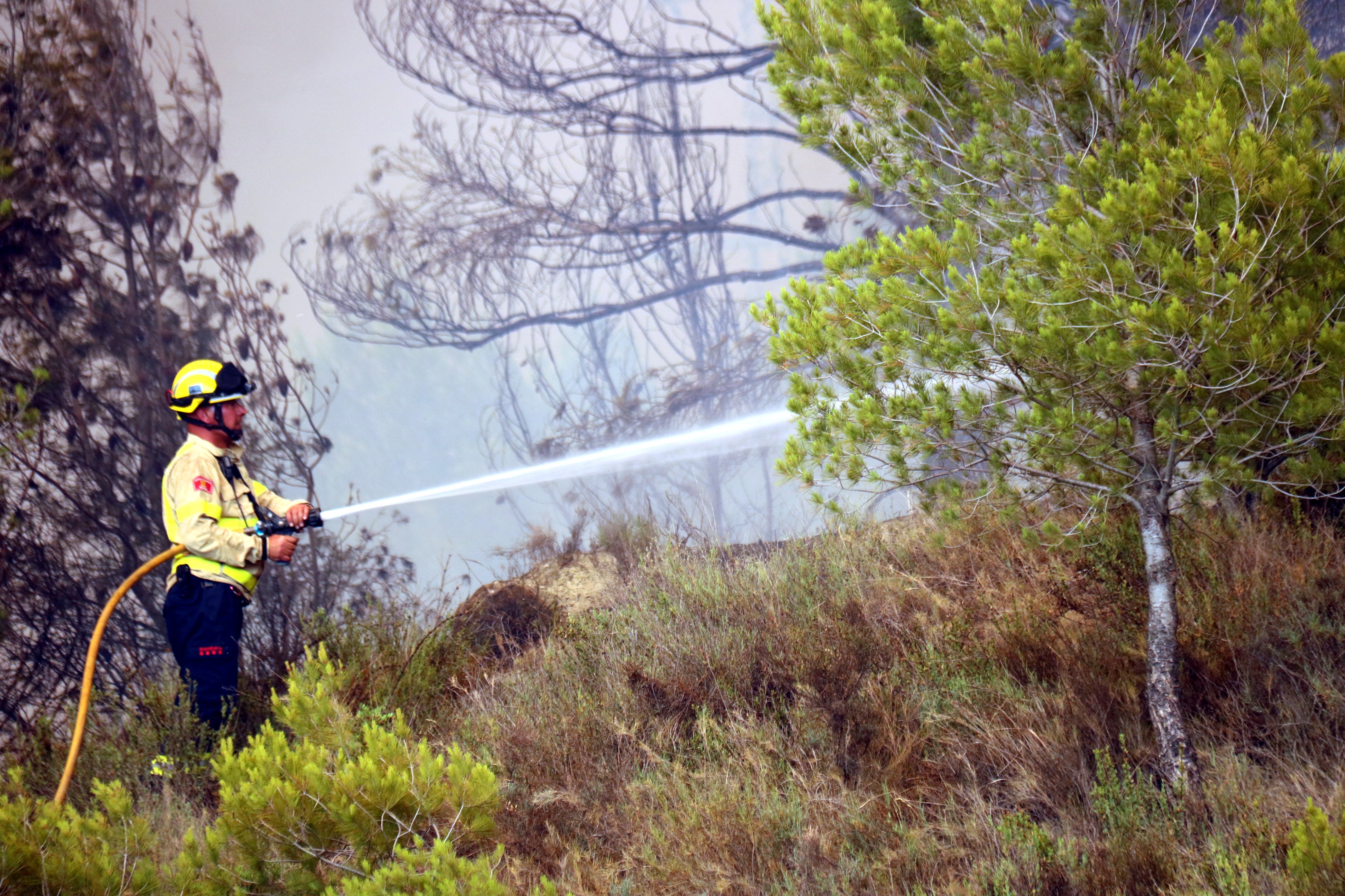 Investigan las causas del incendio en El Pont de Vilomara, que apuntan a la actividad humana