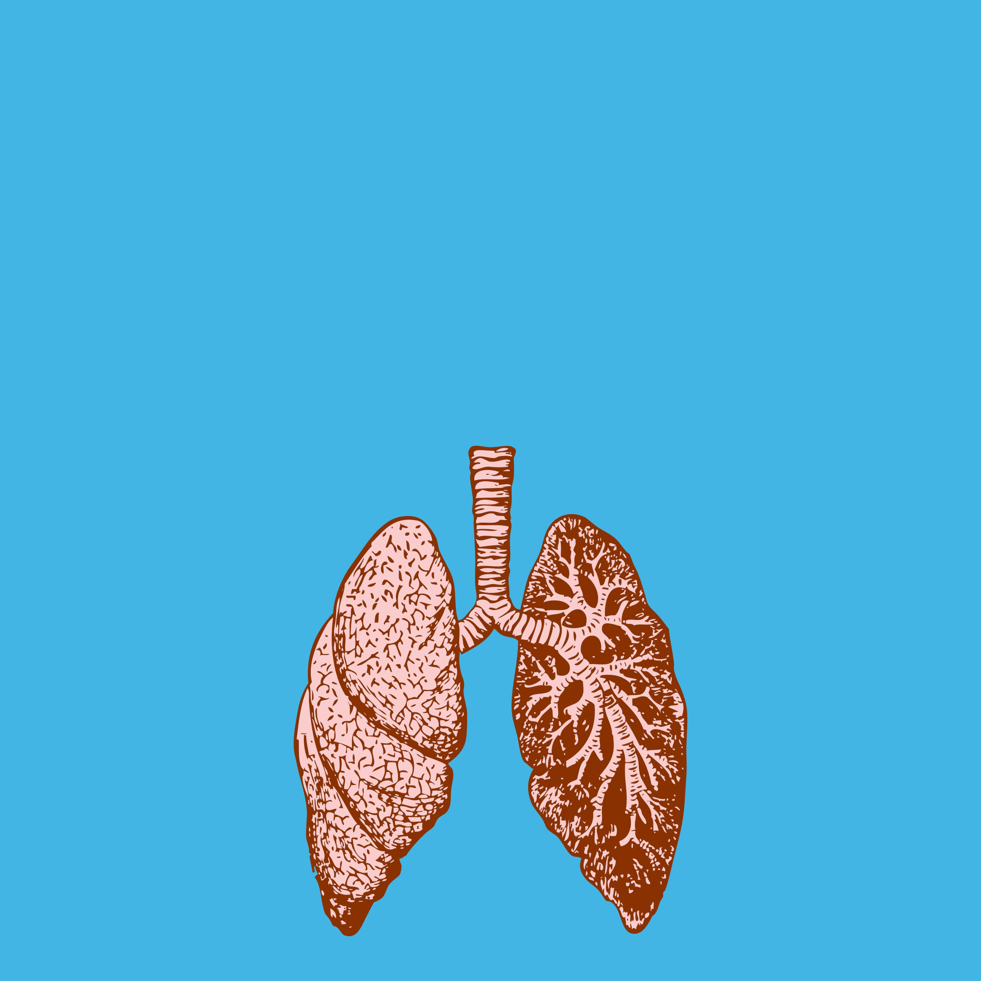 La calor de l'estiu pot afectar els teus pulmons