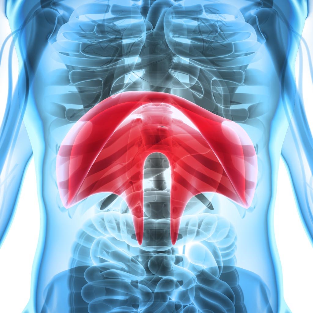 ¿Qué sabes del diafragma, un gran desconocido del cuerpo?