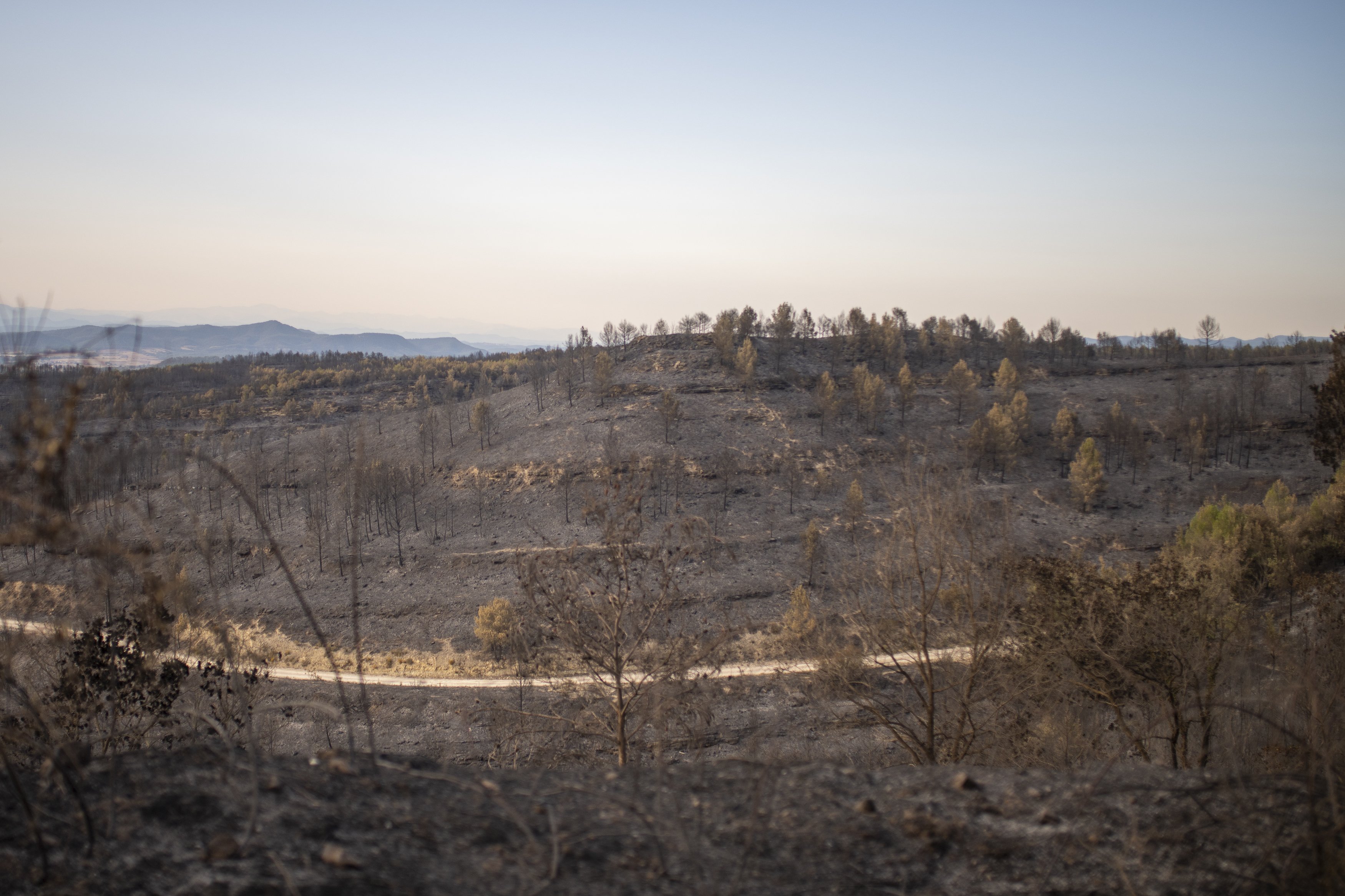 Els Bombers donen per controlat l'incendi del Pont de Vilomara