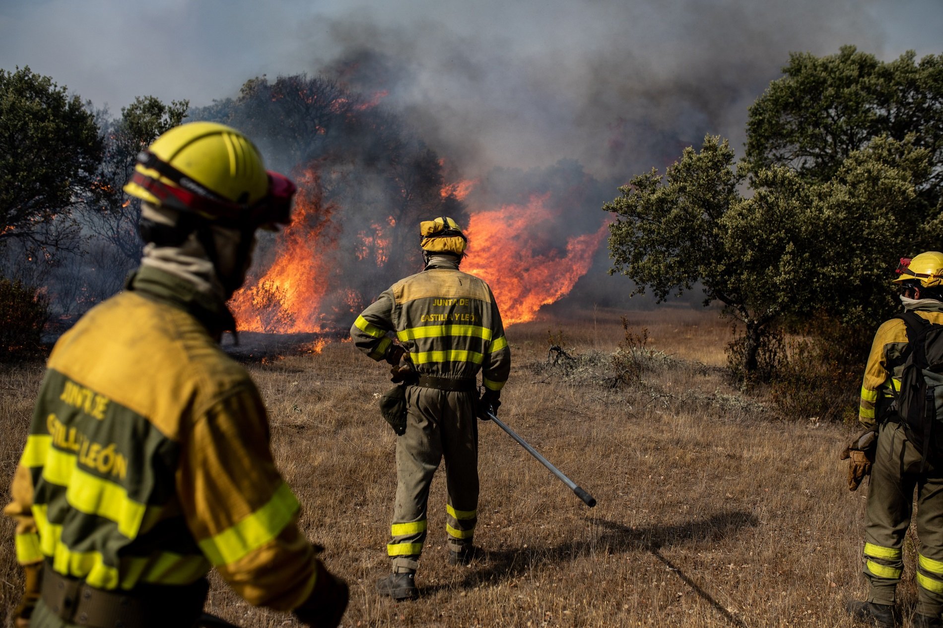 incendi Zamora incendi Zamora