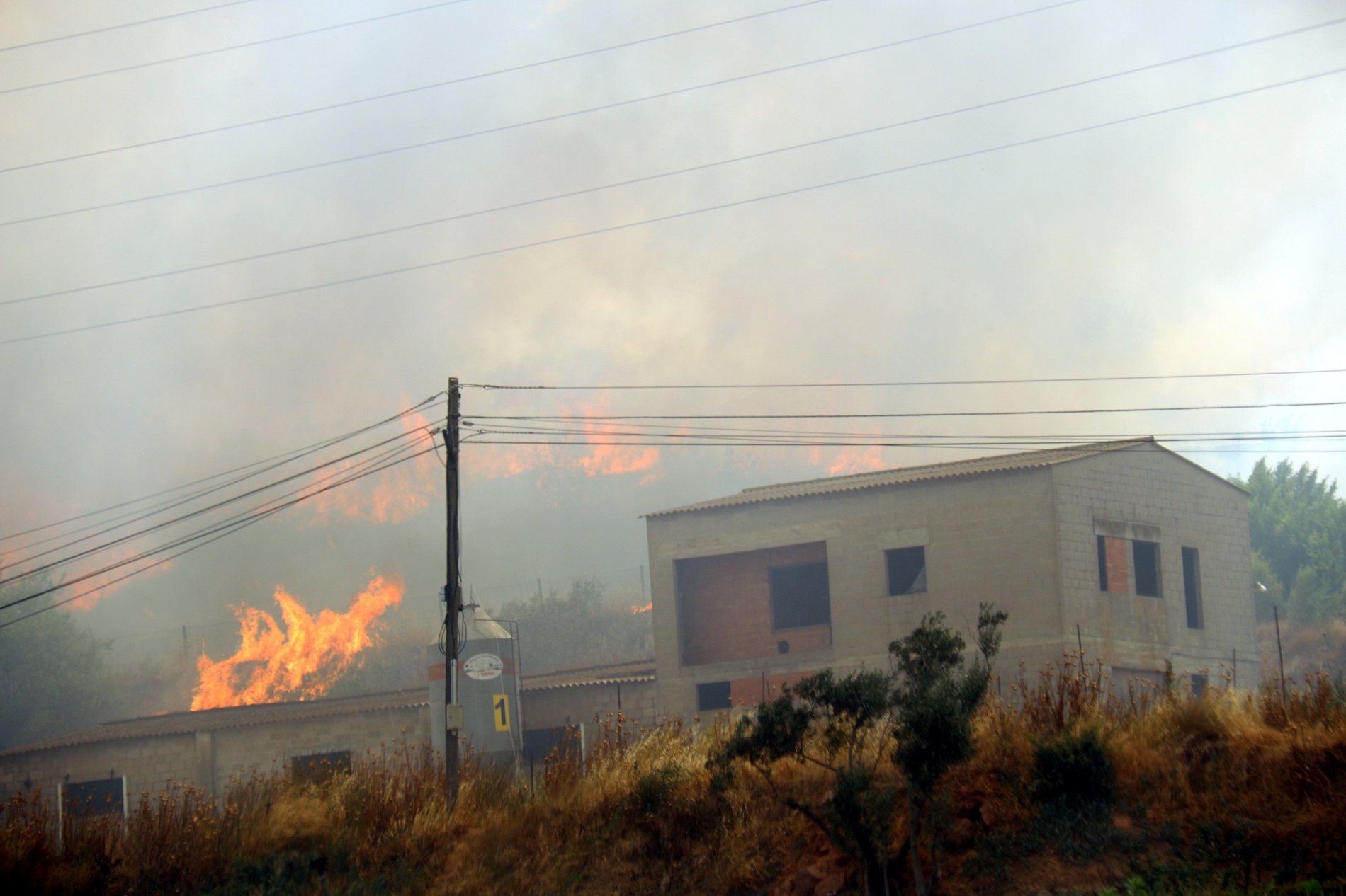Acción Climática cuestiona la reconstrucción de casas en terrenos arrasados por el fuego