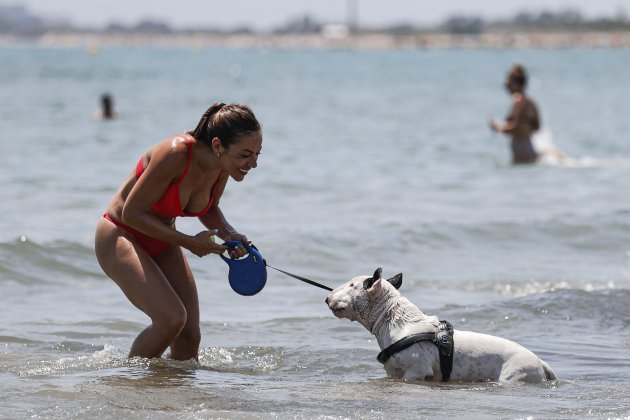 platja gossos manuel bruque / Foto: EFE