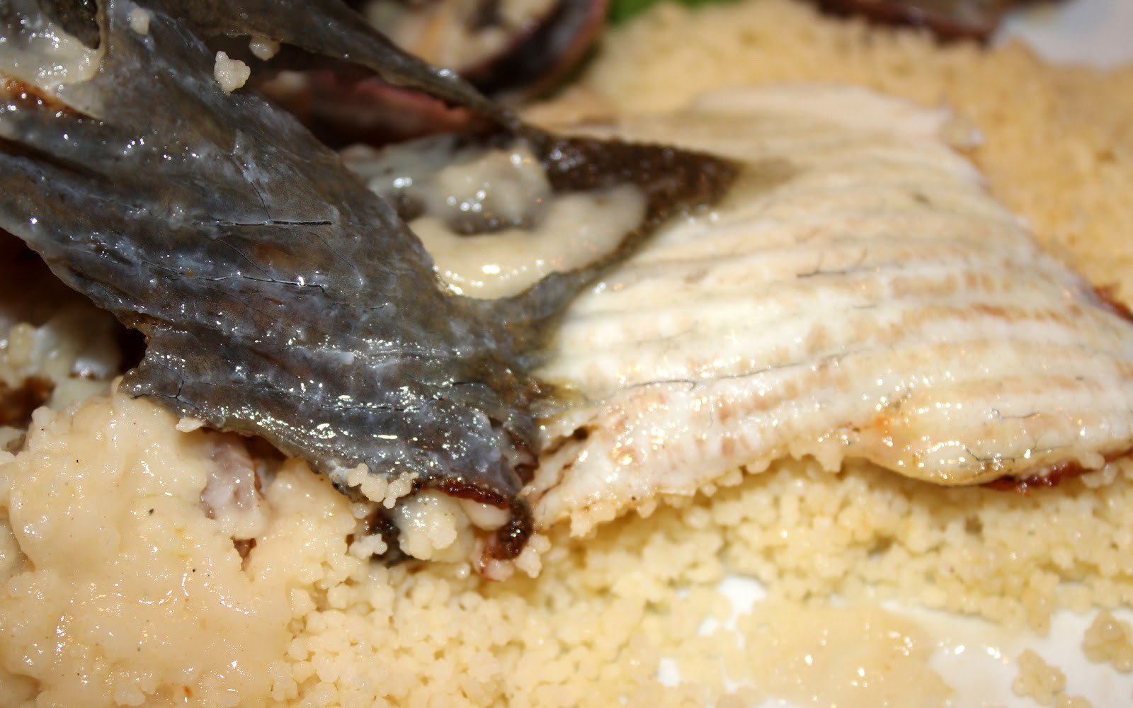 filet turbot cous cous veloute peix pas34