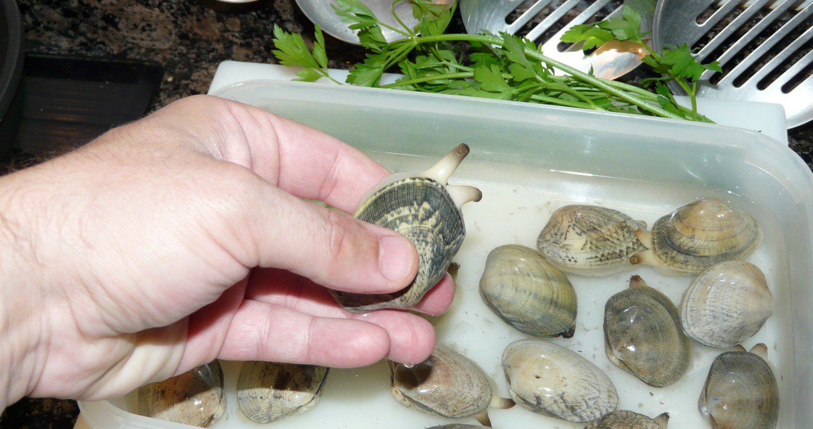 llobarro al forn gambes cloisses pas9