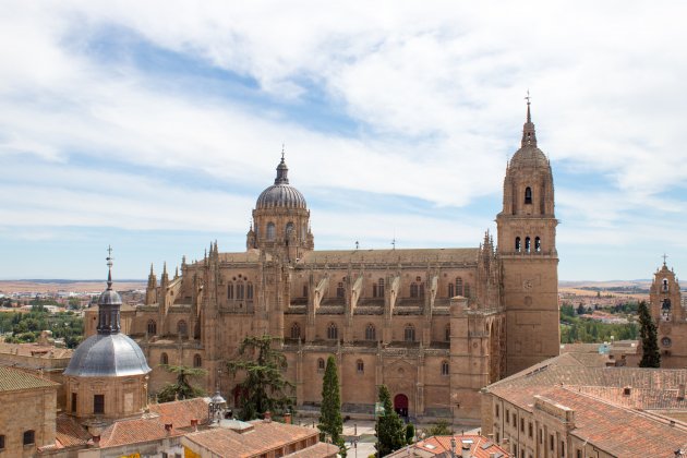 La Catedral de Salamanca / Unsplash