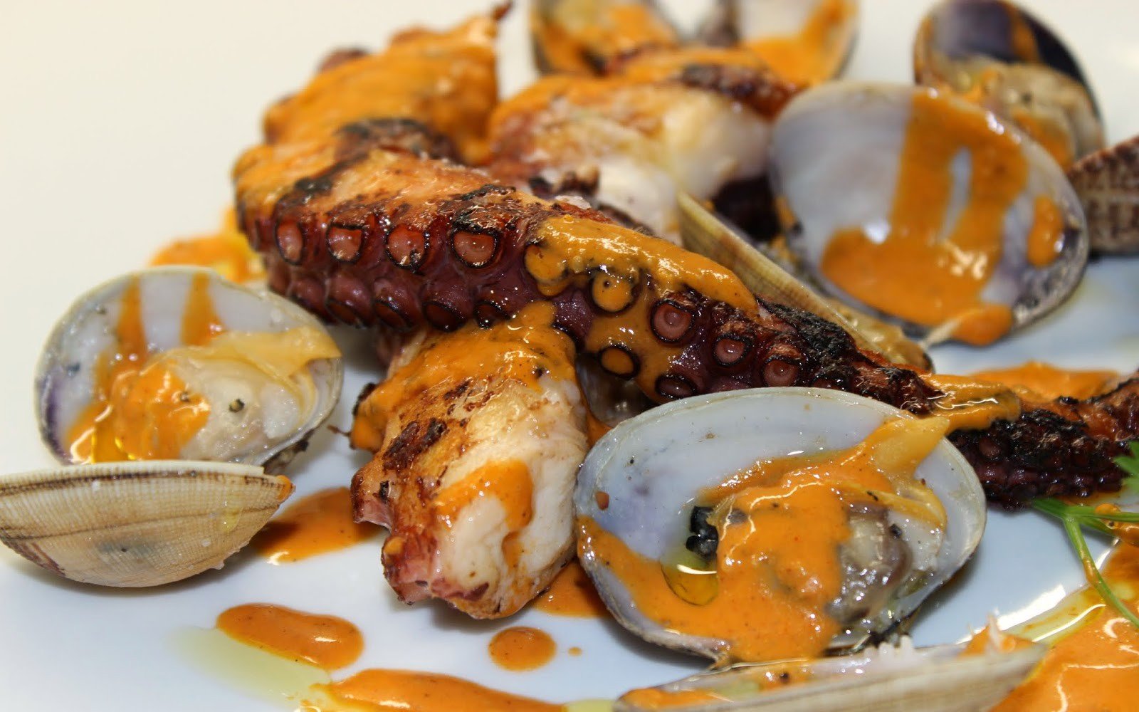 Pulpo con romesco