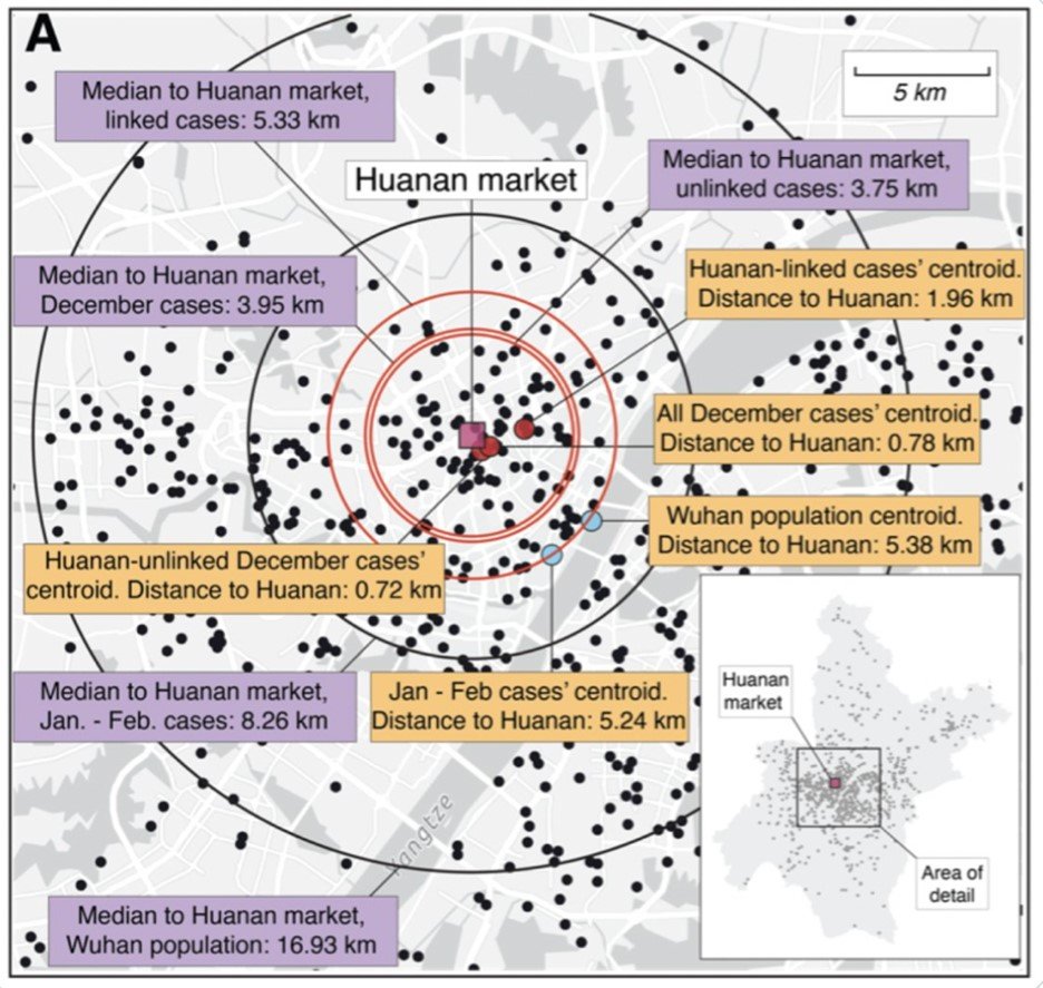 infecciones covid wuhan worobey et al science