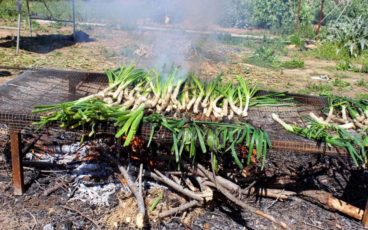 calcotada pas000