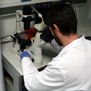 747 casos de verola del mico en dos mesos a Barcelona, confirma l'Agència de Salut Pública