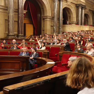 El Parlament tanca el període de sessions sense signar les actes amb el vot verbal de Lluís Puig