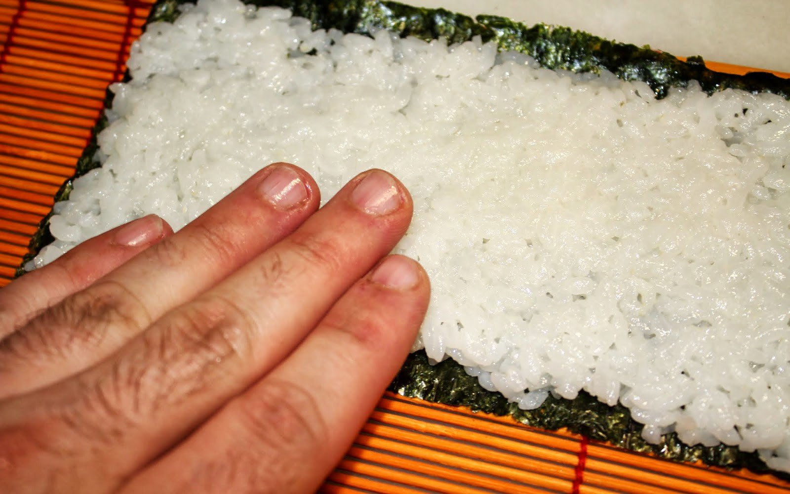 sushi makizushi sashimi nigirizushi pas18