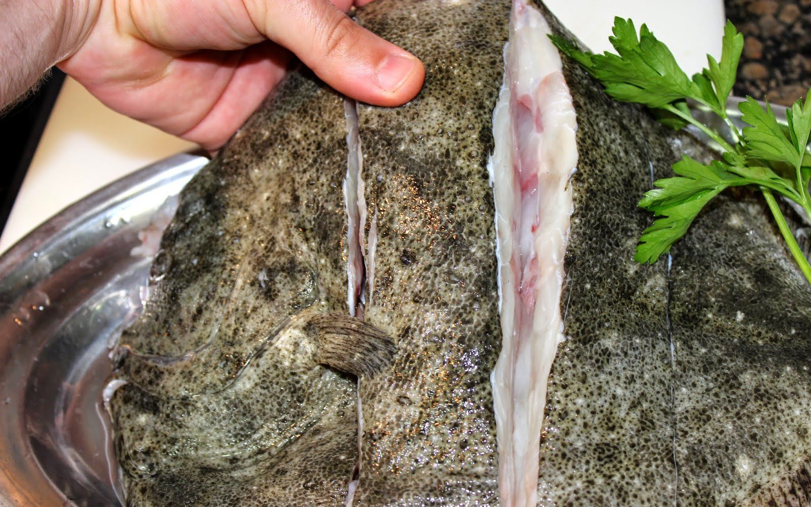 turbot al forn salsa balandra pas7