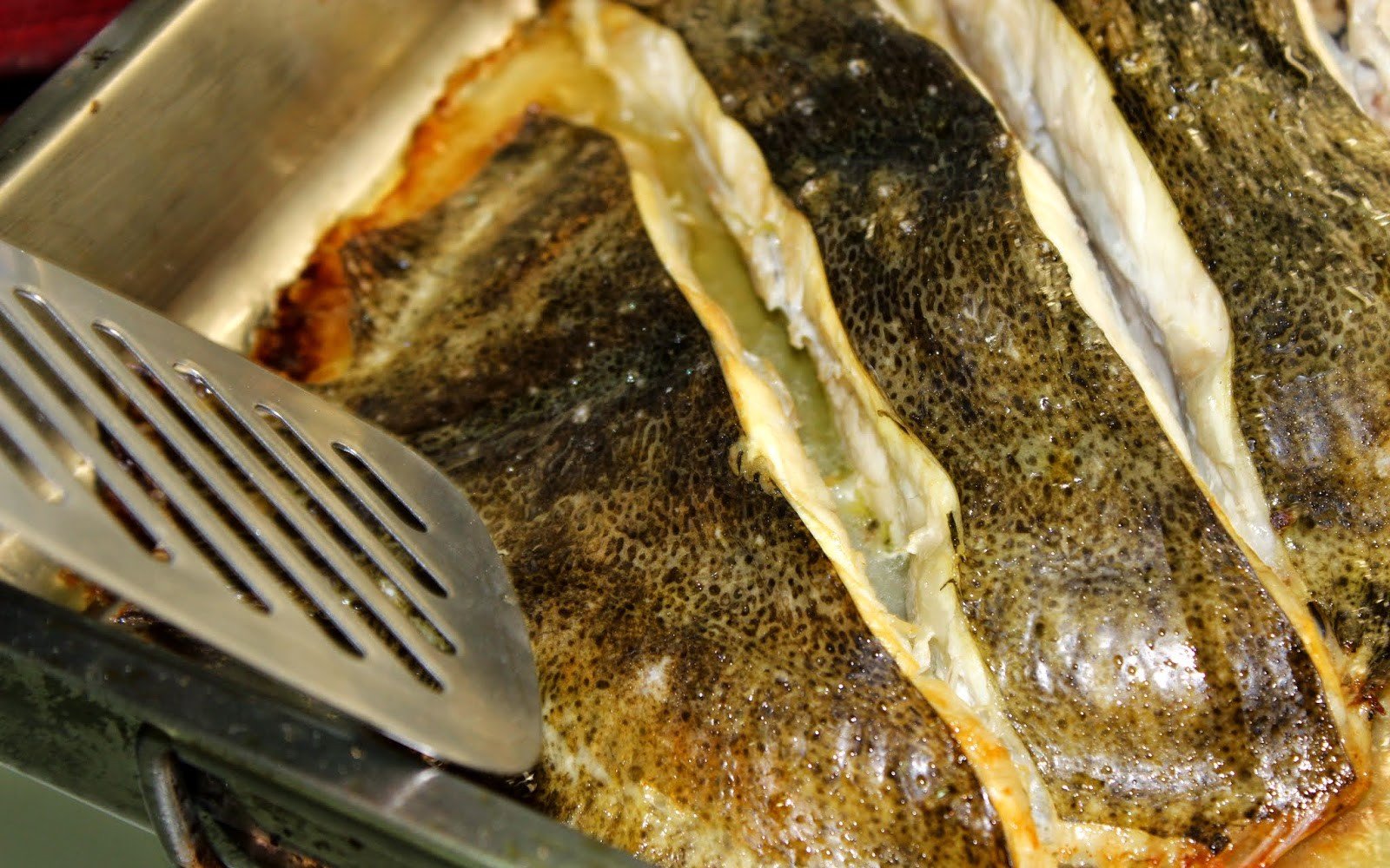 turbot al forn salsa balandra pas14