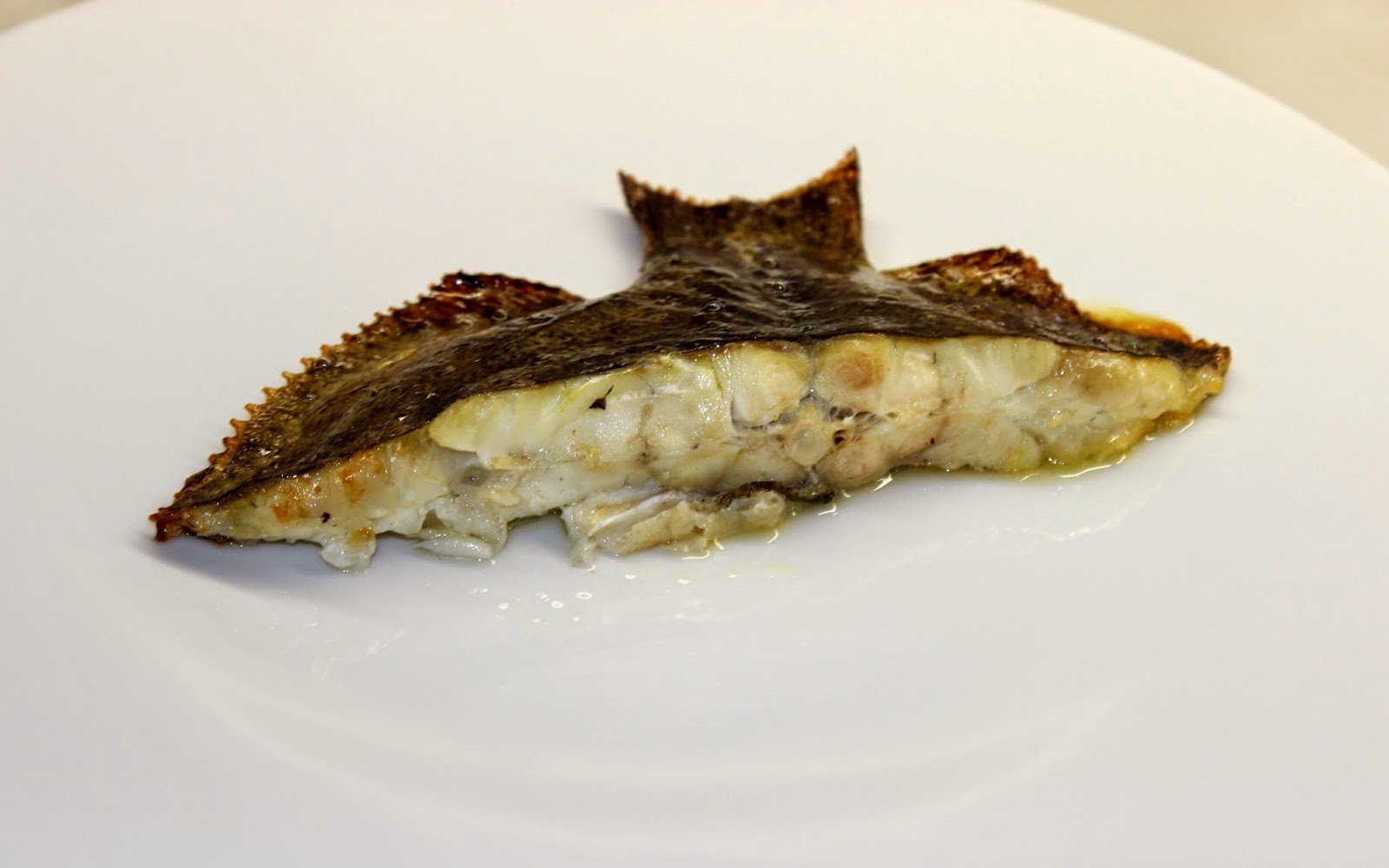 turbot al forn salsa balandra pas15