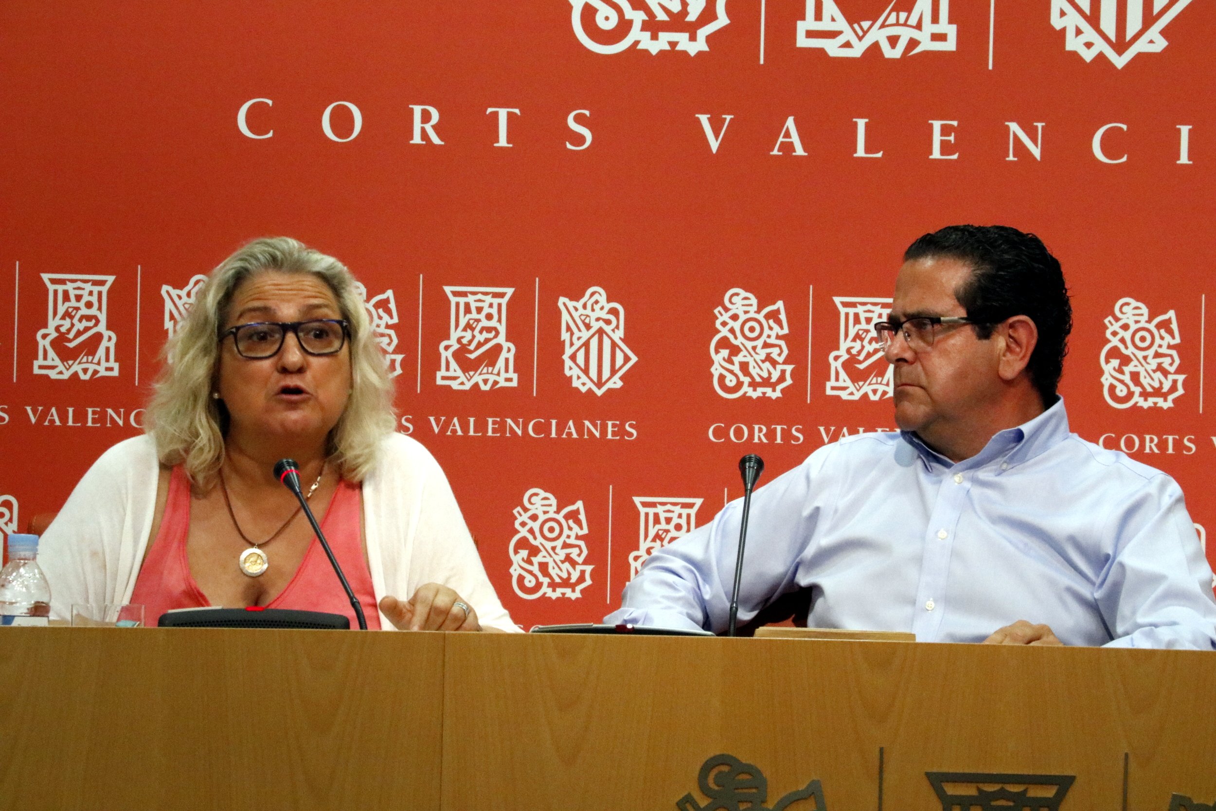 El PP recorre el decret d'usos lingüístics valencians perquè "exclou" el castellà