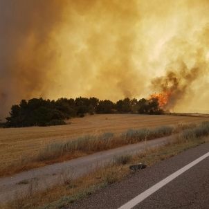 foc foc