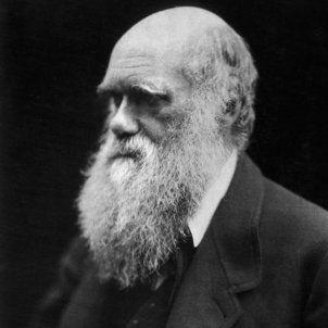 darwin wiki
