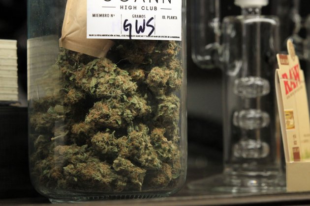 Marihuana Uruguai 2 EFE