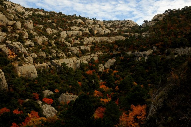 JoanGratacos TardorMontsant09