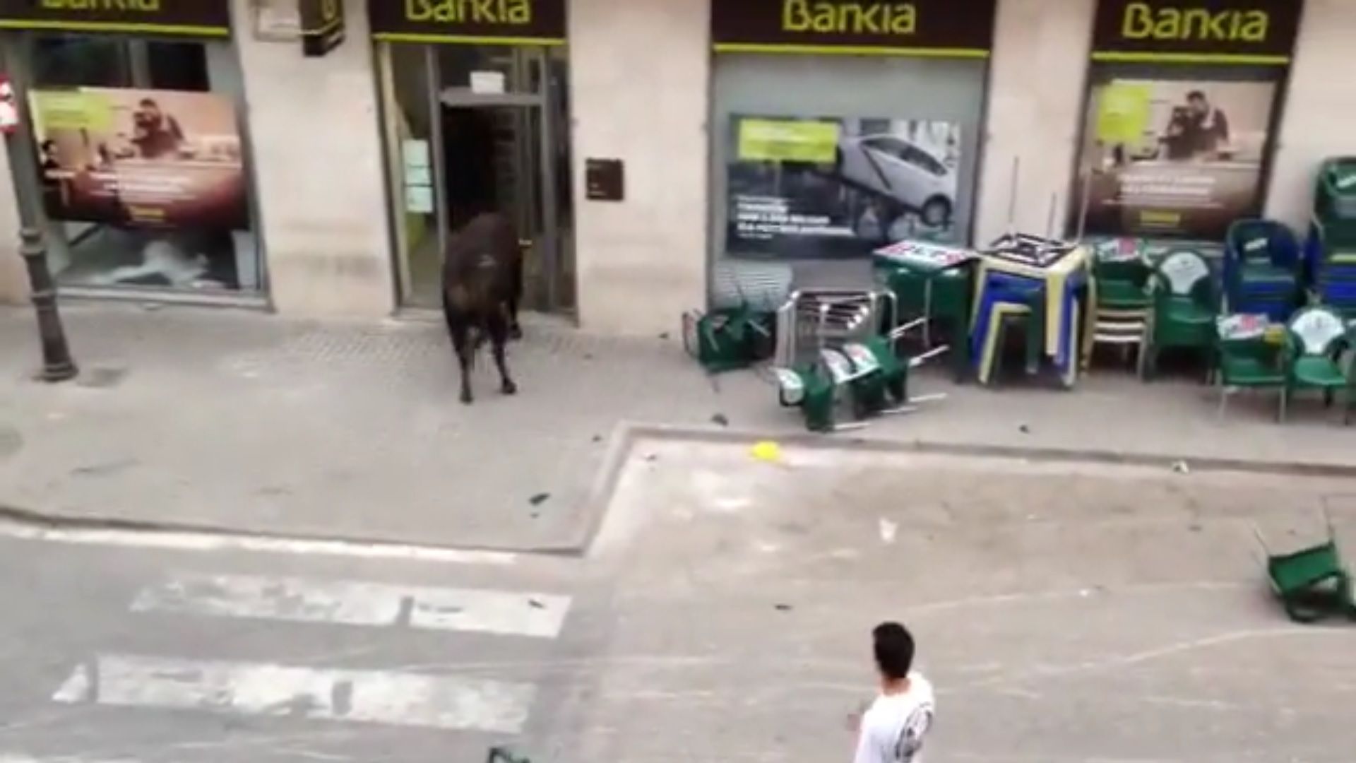 VÍDEO: Un toro entra en una oficina de Bankia en Cheste
